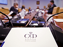 Комитет Совфеда рекомендовал ратифицировать протокол об усилении борьбы с авиадебоширами