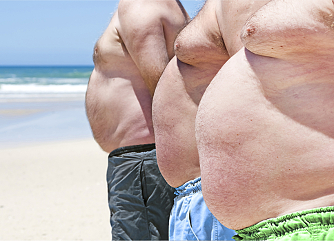 Ученые объяснили принцип развития семейного ожирения