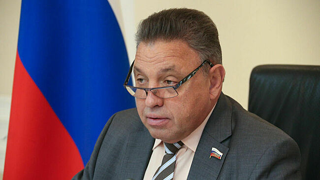 Сенатор Тимченко призвал не использовать пиротехнику в праздники