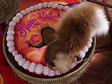 Тест: Из какого мультфильма этот нелепый кадр?