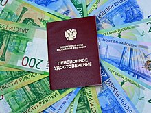 Россияне за рубежом смогут подтвердить право на пенсию при помощи биометрии