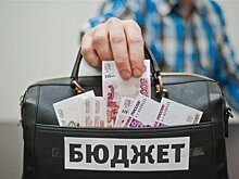 Депутаты Петросовета приняли бюджет карельской столицы на 2020 год