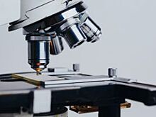 Правда и мифы о «биокоже»: кому выгодна смерть проекта?