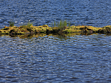 Ученые разработают рекомендации для развития рыбного промысла в водоемах Пуровского района