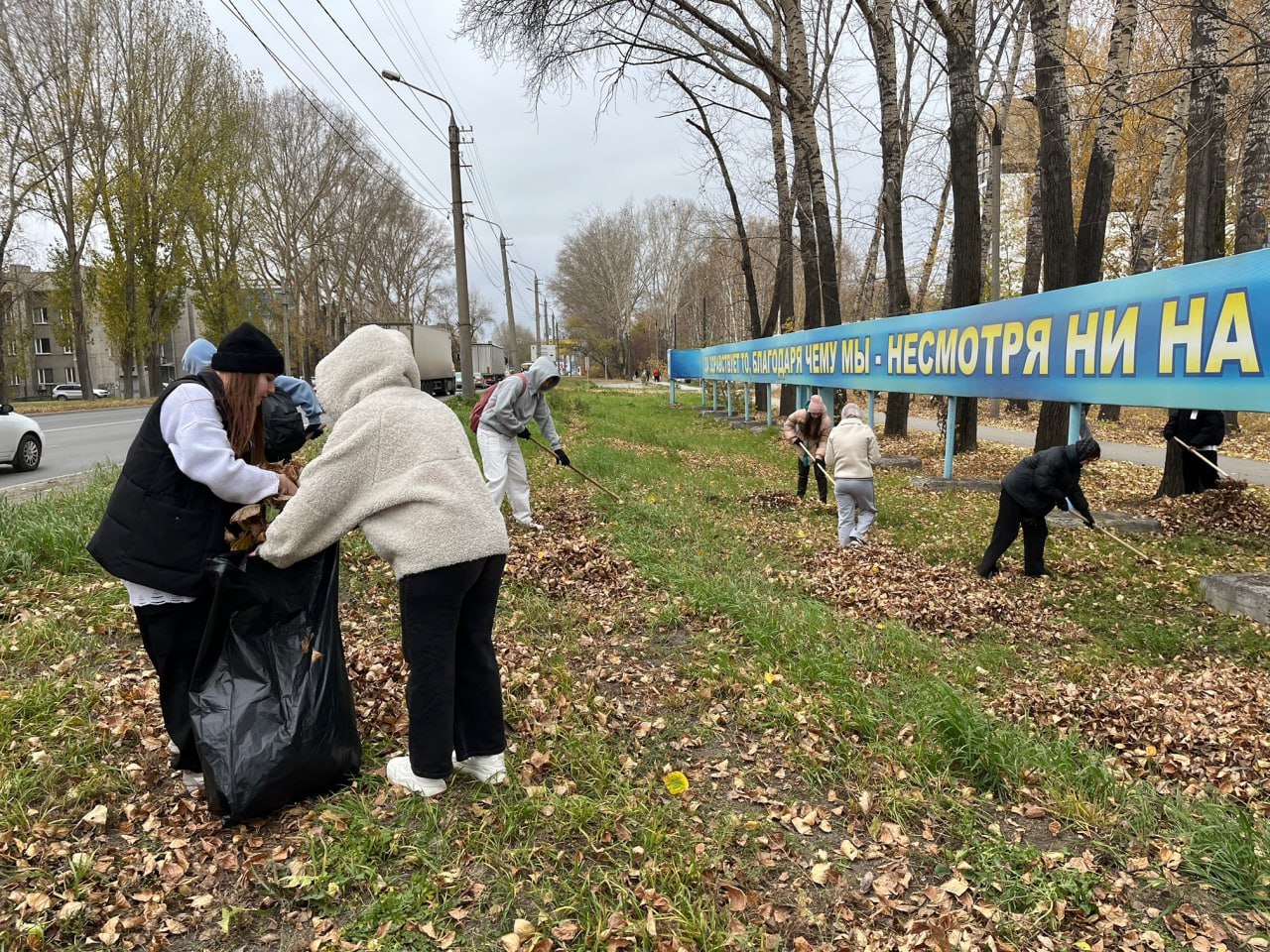 Новосибирск взял курс на чистоту: масштабная акция по уборке города