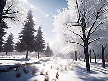 Озвучен прогноз погоды в Хабаровске и крае на 18 января 2024 года