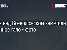 В небе над Всеволожском заметили солнечное гало - фото