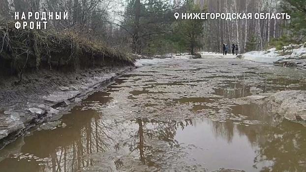 Жителям деревни на Бору 23 года не могут отремонтировать дорогу