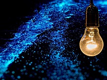 Космический огород, светящиеся бактерии и пешеходное движение