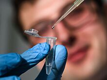 Исследователь Нахаи: корица помогает бороться с развитием Альцгеймера