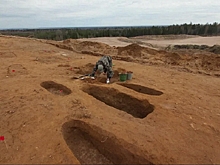 Археологи СПБГУ провели раскопки древнего ижорского могильника