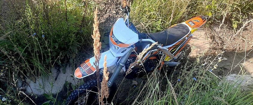 Женщина погибла в ДТП с лосем в Удмуртии