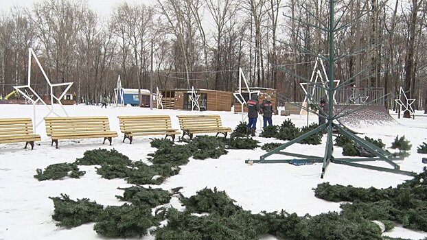 На этой неделе в Гагаринском парке установят новогоднюю ель