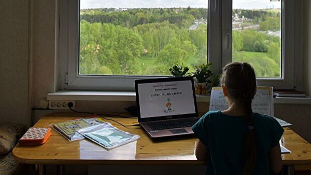 Россияне оценили онлайн-образование школьников