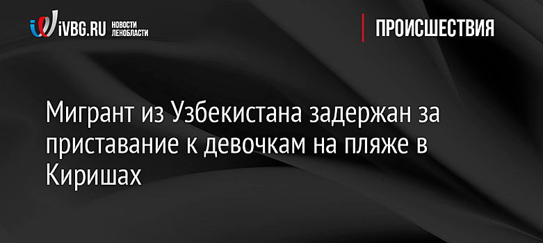 Мигрант из Узбекистана задержан за приставание к девочкам на пляже в Киришах