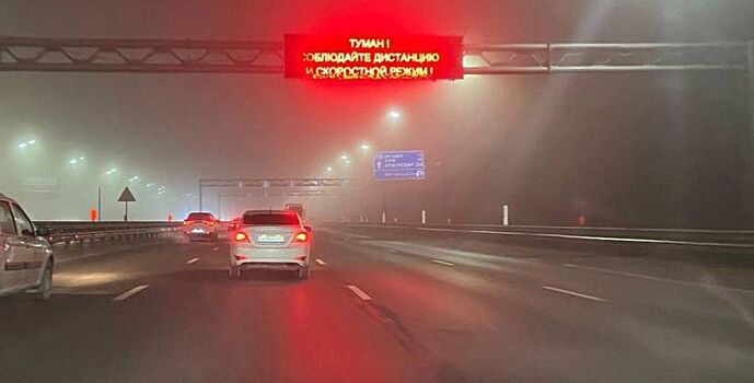 Госавтоинспекция предупредила водителей о плотном тумане на дорогах донского региона