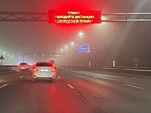 Госавтоинспекция предупредила водителей о плотном тумане на дорогах донского региона