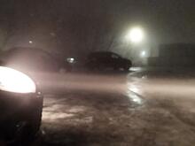 В Курской области 25 февраля ожидает мокрый снег и туман