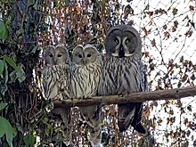 Анонсы событий и мероприятий на 12 января (18+)