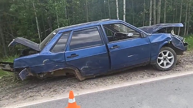 Нетрезвый нижегородец погиб в ДТП в Шарангском районе