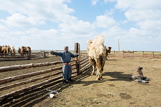 Дефицит питьевой воды стал главной проблемой Калмыкии