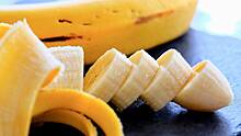 Эквадор предоставил РФ обоснование, чтобы снять запрет на импорт бананов