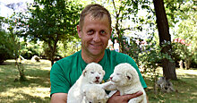 The Telegraph (Великобритания): владелец частного крымского зоопарка умоляет людей взять 30 его медведей, чтобы не умерщвлять их