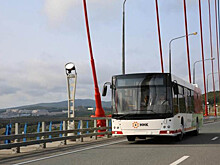 Тревожные кнопки появятся в автобусах Владивостока