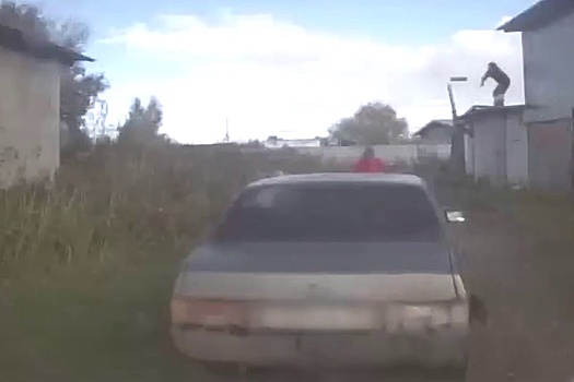 Убегающего от полиции водителя остановили с помощью полена в Вологодской области