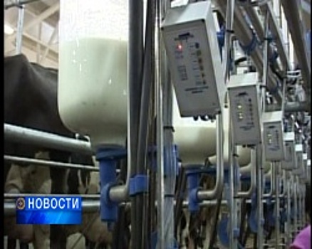 В Башкортостане появятся новая программа по поддержке молочной отрасли