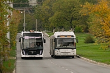 Мэрия Волгограда ищет перевозчика на 4 автобусных маршрута