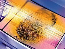 Кража биометрических данных возможна – эксперт