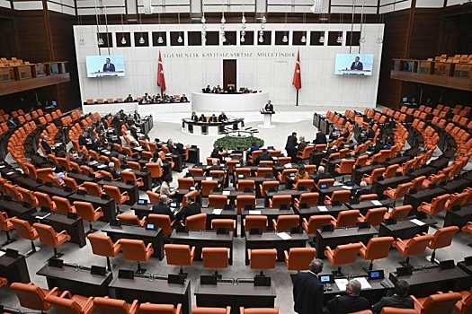 Парламент Турции одобрил заявку Швеции на вступление в альянс. Что дальше?