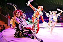 Необычным парадом рекордов отметят «Всемирный день цирка» в Нижнем Новгороде
