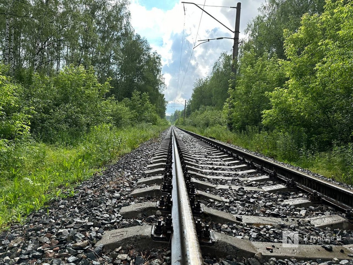 Два нижегородских поезда задержаны из-за подрыва путей под Воронежем