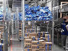 Ozon открыл первый логистический центр в Казахстане