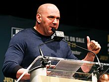 Материнская компания UFC близка к покупке WWE