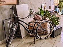 В Уфе пройдет открытый экологический фестиваль