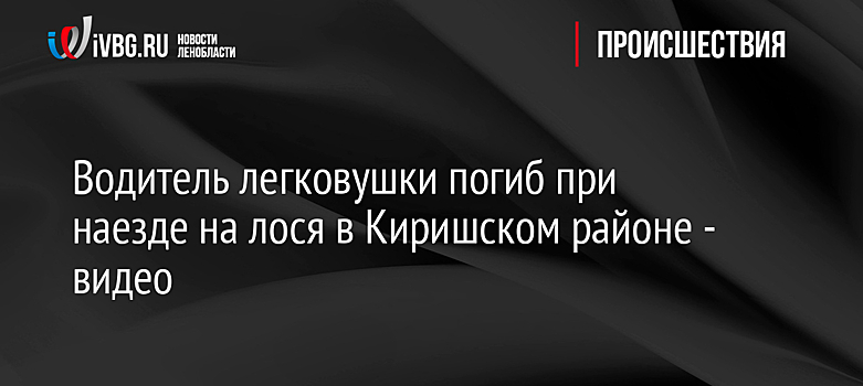 Водитель легковушки погиб при наезде на лося в Киришском районе - видео