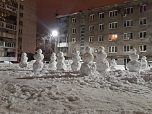 Житель российского города за шесть часов слепил 36 снеговиков