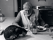 Джин, абсент, дайкири: что пили знаменитые писатели?