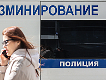 Тротиловую шашку нашли на газопроводе в Сколково