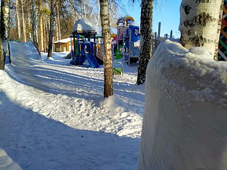 «Безопасность 2.0»: в Новосибирске дерево возле ледяной горки обмотали матрасом