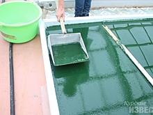 В Курской области запустят вторую очередь предприятия по выращиванию спирулины