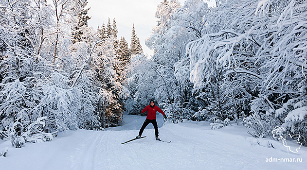 Названы лучшие места в Петербурге для катания на беговых лыжах