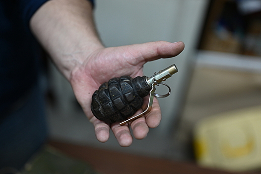 Граната взорвалась в руках воронежца на глазах у ребенка