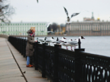 Погода в Санкт-Петербурге: ветреная, влажная и теплая