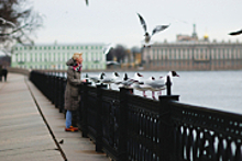 Погода в Санкт-Петербурге: ветреная, влажная и теплая