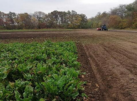 Ставропольские аграрии получили страховые возмещения за урожай 2021 года