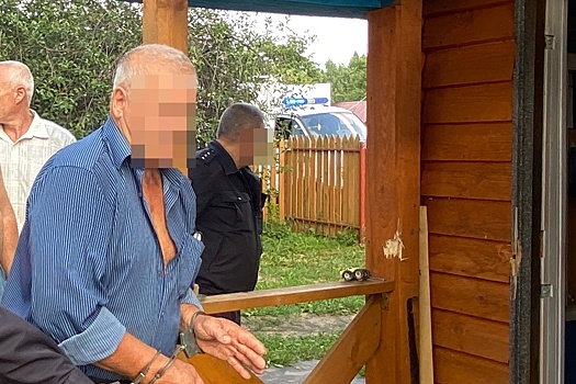 Нижегородского бизнесмена Михаила Иосилевича осудили на 1 год и 8 месяцев